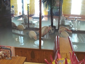 メヒコのレストランに居るフラミンゴ